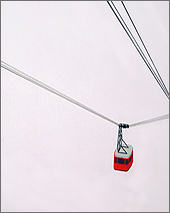 William Steiger: Tramway Red